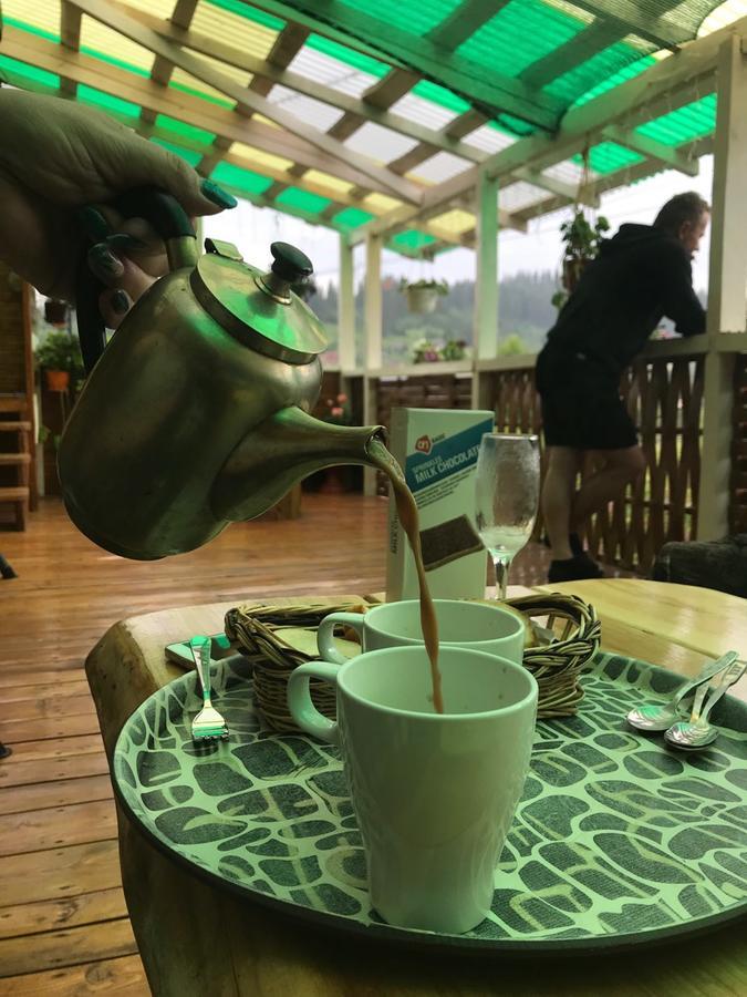 Hotel Karpats'Kyi Kalejdoskop Slavske Exteriér fotografie